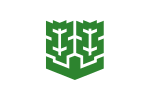 Flag of Matsuyama, Ehime